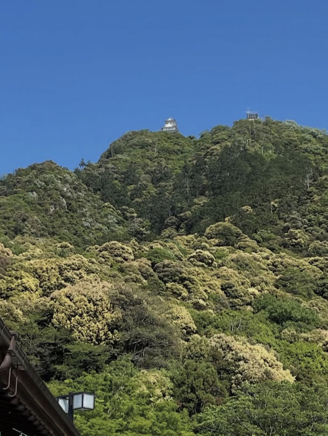 【絶景と歴史の融合】岐阜城から望む金華山のパノラマビュー