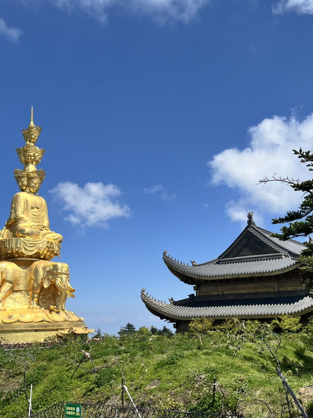 📍Leshan + Mount Emei in a Day – Yes, You Can!