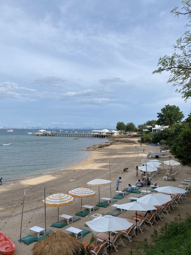 คาเฟ่ เห็นวิวทะเลที่เกาะล้าน 🌺🥤✨