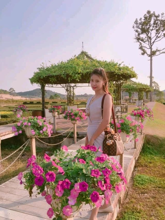 ไร่องุ่นซิลเวอร์เลค พัทยา