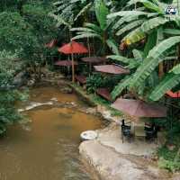 “สมศรี มีกาแฟ” บ้านปางไฮ ดอยสะเก็ด