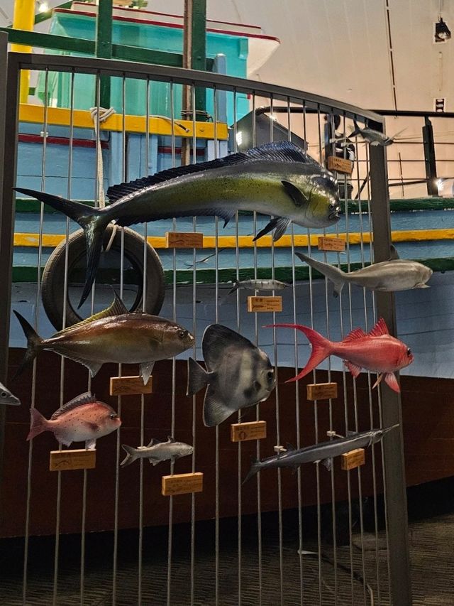 蘭陽博物館海洋與自然的交會點 🌊🦀