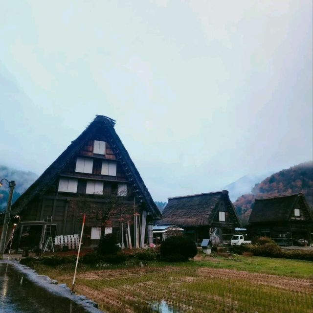 合掌村🌱世界文化遺產🎈一日遊行程⚡️名古屋必去景點