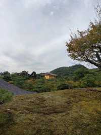 Kyoto's Golden Spell: A Morning Walk Around Kinkaku-ji