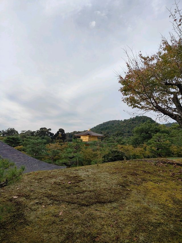 Kyoto's Golden Spell: A Morning Walk Around Kinkaku-ji