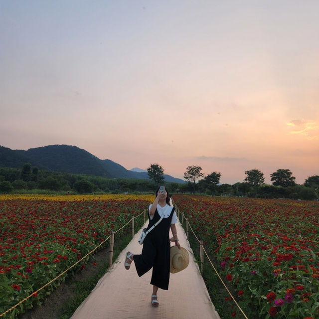 🌸 울산 태화강국가정원, 꽃길 따라 자전거 타는 하루