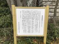 富山-富山城址公園（富山城址）