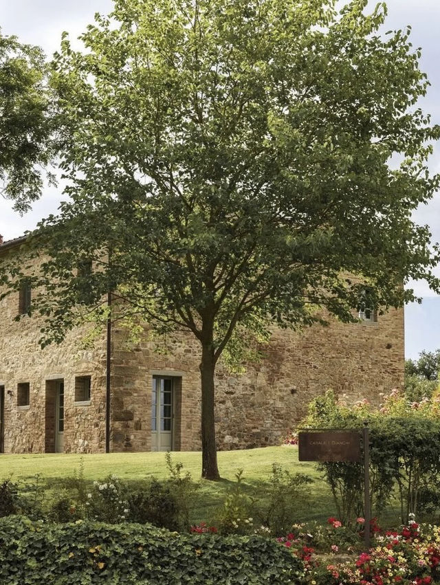 🏰 Toscana Resort Castelfalfi 攻略｜托斯卡納心臟地帶的奢華隱世度假村