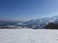 ❄️ Snowy Peaks & Scenic Treats: A Family Day Out at Hakuba Mountain Harbor
