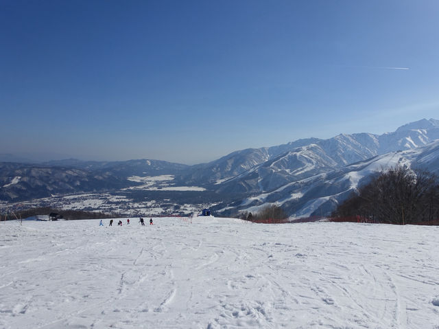 ❄️ Snowy Peaks & Scenic Treats: A Family Day Out at Hakuba Mountain Harbor