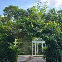 Treetop Walk at HortPark (Free & short trail)