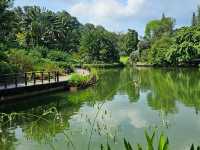 Go Green at Botanic Gardens (HOT, literally 🌞)