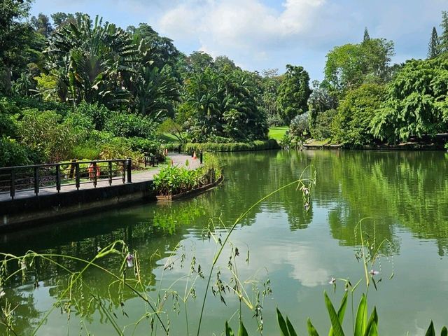 Go Green at Botanic Gardens (HOT, literally 🌞)