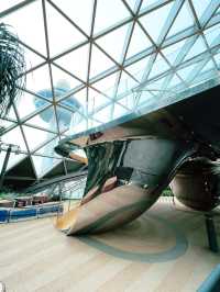 “THRILLING FUN AT THE DISCOVERY SLIDES”