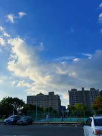 🌳【中壢親子寵物雙友善】興仁親子公園：綠意草皮 × 溜滑梯 × 野餐散步超放鬆！