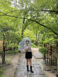 일본 여름을 느낄 수 있는 후쿠오카 정원카페 🌿
