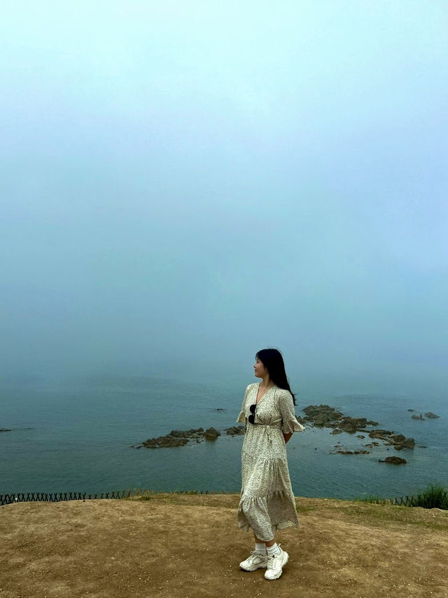 🌾잔잔한 바다 위 섬 산책, 칭따오 小麦岛에서 힐링하기🌊