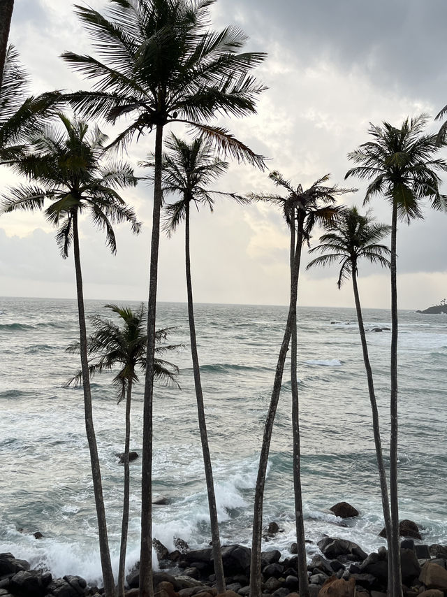 🌴斯里蘭卡最美打卡山丘｜Mirissa Coconut Tree Hill 日出日落全攻略 