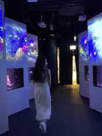 香港隱世打卡 荃灣隱藏寶藏！浩海立方探游館，水母控必去