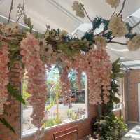 สวนไม้บ้านทุ่ง Cafe’ & Cactus Garden
