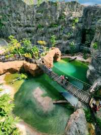 🌳🐒 “Step into the Wild!” – Asian Rainforest Adventure Singapore 