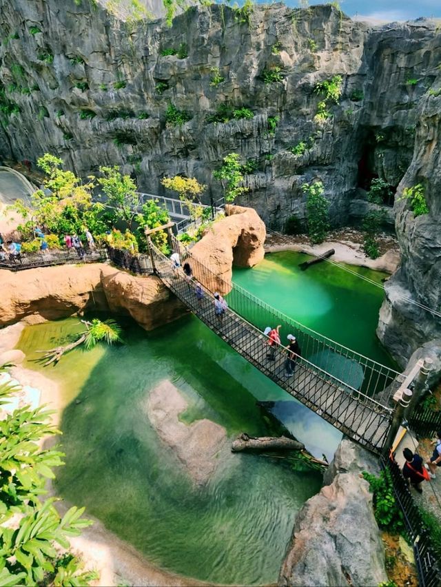 🌳🐒 “Step into the Wild!” – Asian Rainforest Adventure Singapore 