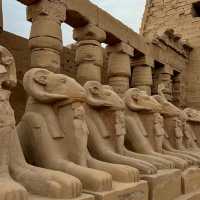 Luxor Temple by Moonlight: A Summer Night Walk Through 3,500 Years of History