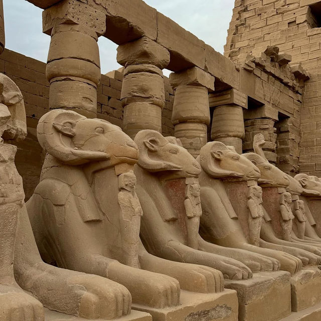 Luxor Temple by Moonlight: A Summer Night Walk Through 3,500 Years of History