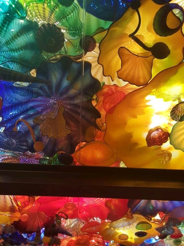 Admire beautiful glasswork art in Seattle