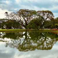 Taman Tasik Taiping: A Misty Summer Morning in Malaysia’s Oldest Garden