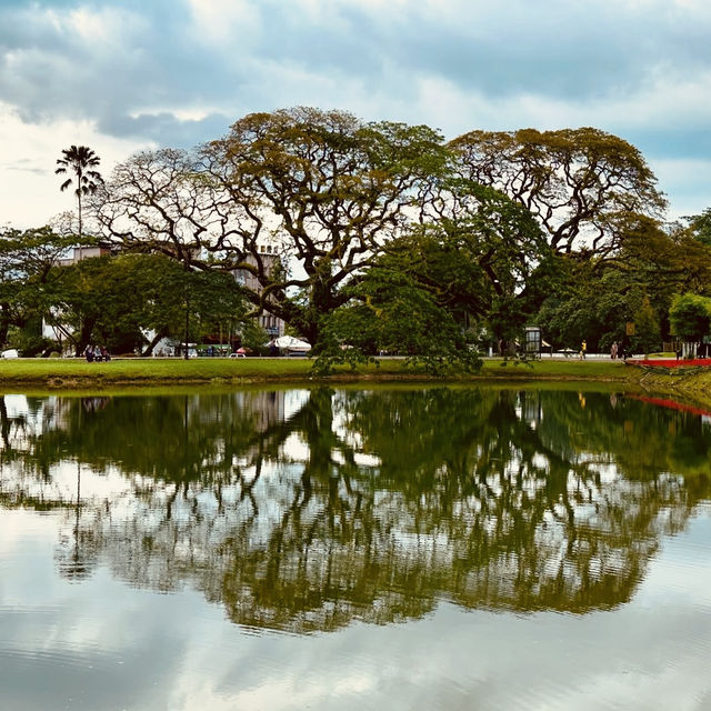 Taman Tasik Taiping: A Misty Summer Morning in Malaysia’s Oldest Garden