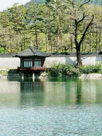 Explore Seoul City – Where Tradition Meets Technology