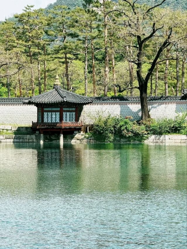 Explore Seoul City – Where Tradition Meets Technology