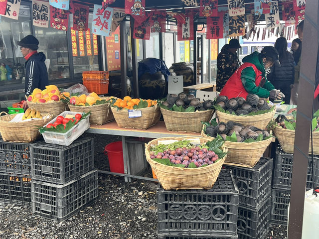  📍 G318 Nima Sacred Mountain Service Area – A Unique Tibetan-style Stop at 4668m