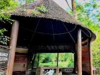 Mesmerizing Singapore Zoo! 
