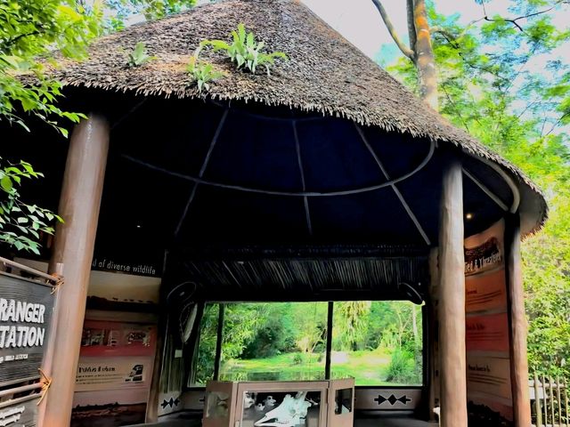 Mesmerizing Singapore Zoo! 