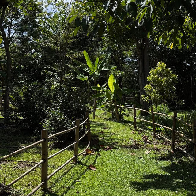 Sawanbondin Tea House & Experience