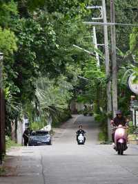 Chiang Mai: The Rose of the North in Full Bloom