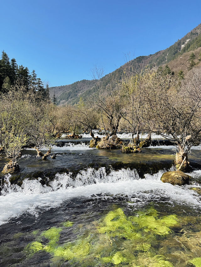 Jiuzhaigou for the first time. 🩵