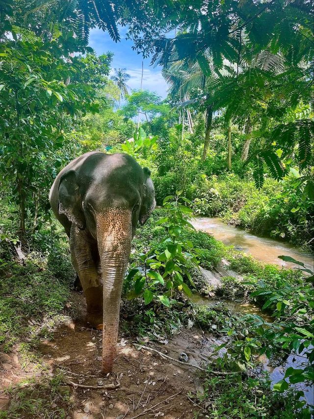 Koh Lanta Energy