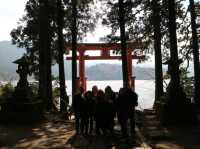 📍箱根神社 · 森林中的靜謐力量