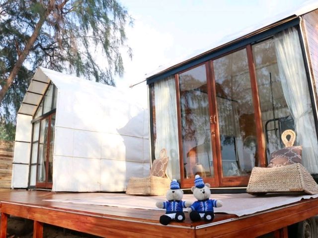 Mollusc Glamping