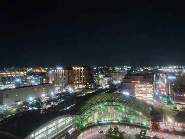 ANA 크라운 플라자 가나자와(ANA Crowne Plaza Kanazawa) 스탠다드 더블룸