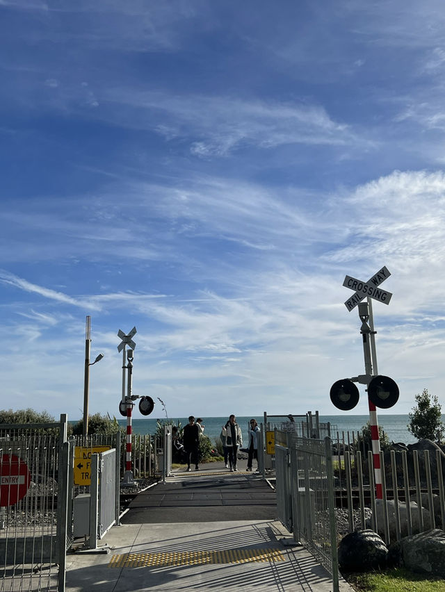 🚦 New Plymouth 海邊鐵道平交道｜紐西蘭版灌籃高手場景？