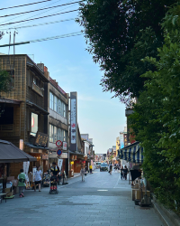 [Japan 🇯🇵] Ise Naiku: Find Your Zen in Japan's Sacred Heart