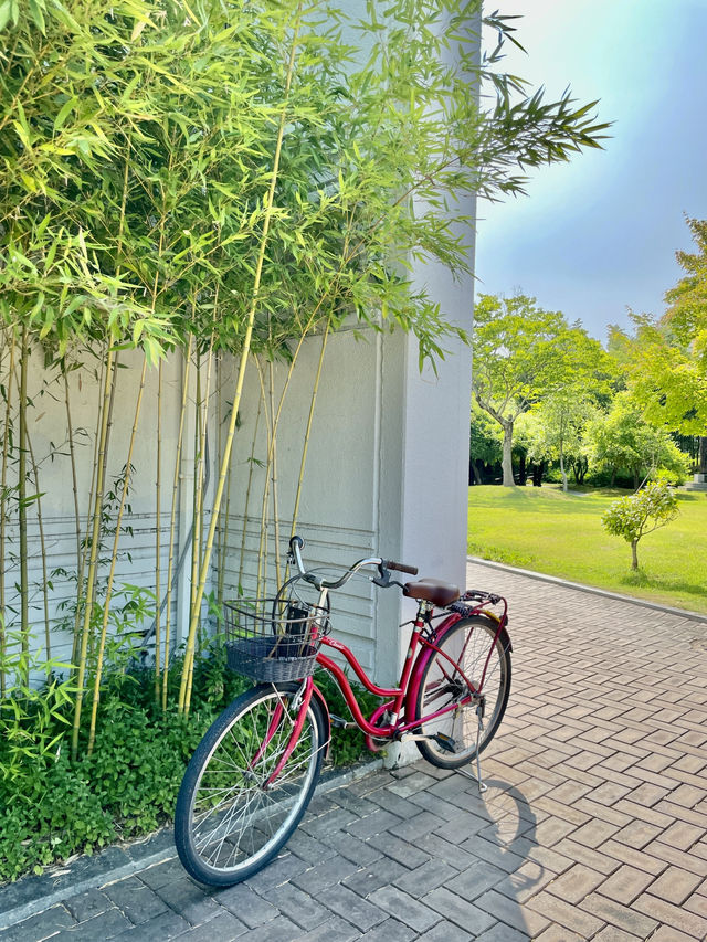 대나무의 모든 것🌿 담양 한국대나무박물관(A.K.A. Bamboo Museum) 