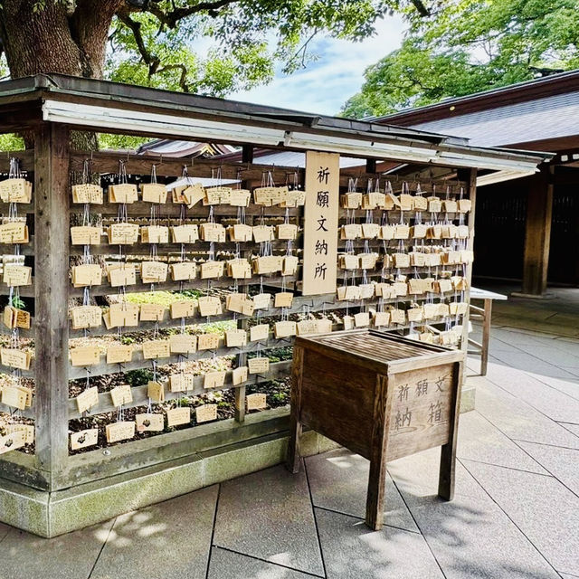 Meiji Jingu: A Tranquil Path to Tokyo’s Sacred Heart