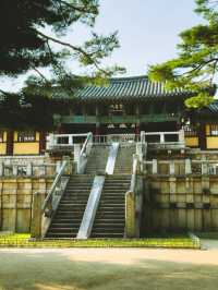 여름 경주 여행코스🌿