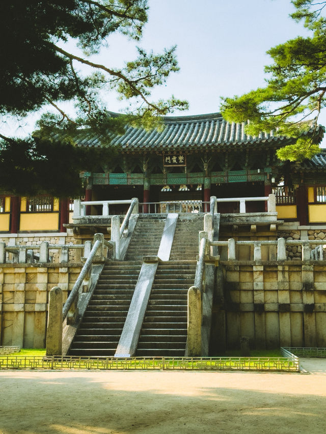 여름 경주 여행코스🌿