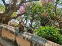 Hilltop Palaces and Sneaky Monkeys at Khao Wang